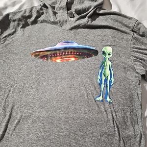 Next Level Apparel Gray Hoodie